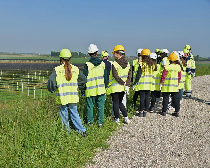 Immagine ragazzi volontari
